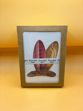 Aloha, Frank – Tropical Card Set